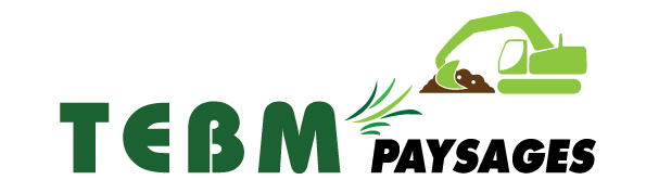 propo-logo-valide tebm